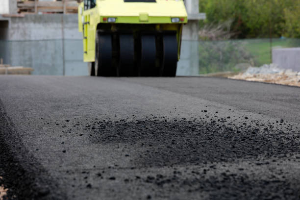 Best Driveway Pavers Near Me  in Neillsville, WI