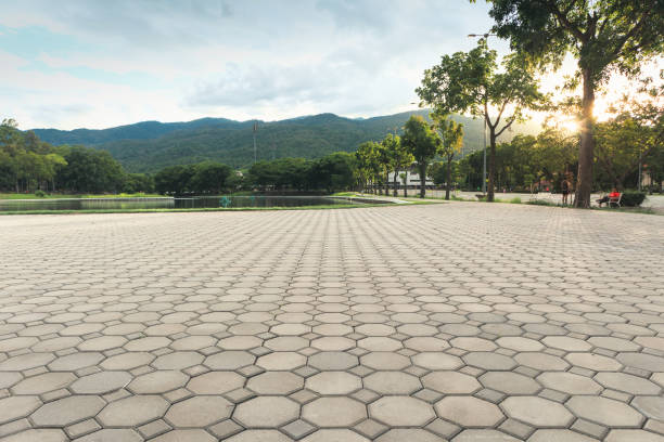 Best Custom Driveway Pavers  in Neillsville, WI